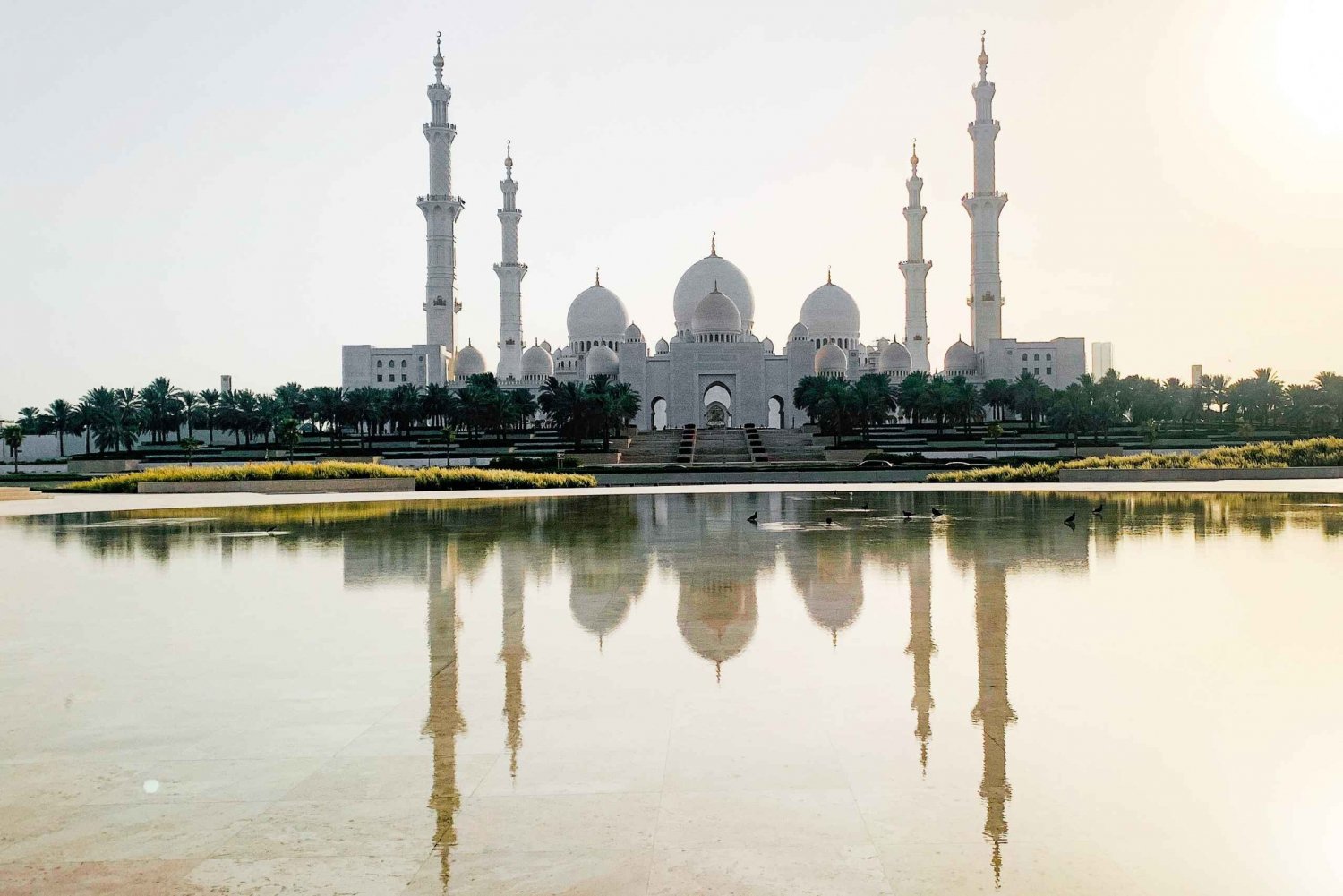 Abu Dhabi: 3-tunnin kiertoajelu nähtävyyksien kiertoajelulla (Layover)