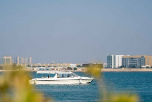 Abu Dhabi: 4-Hour Guided Cruise & Island Hopping