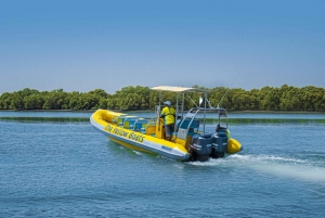 Abu Dhabi: 45 minutters sightseeingtur i speedbåd på Yas Island