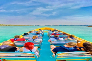 Abu Dhabi: 45 Minutes Yas Island Sightseeing Speedboat Tour