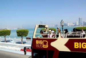 Abu Dhabi : Bus à arrêts à arrêts multiples : visite touristique d'Abu Dhabi