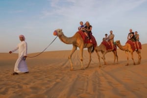 Abu Dhabi: Pacote City Tour e Safari no Deserto