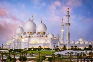 Abu Dhabi: tour della città e safari nel deserto