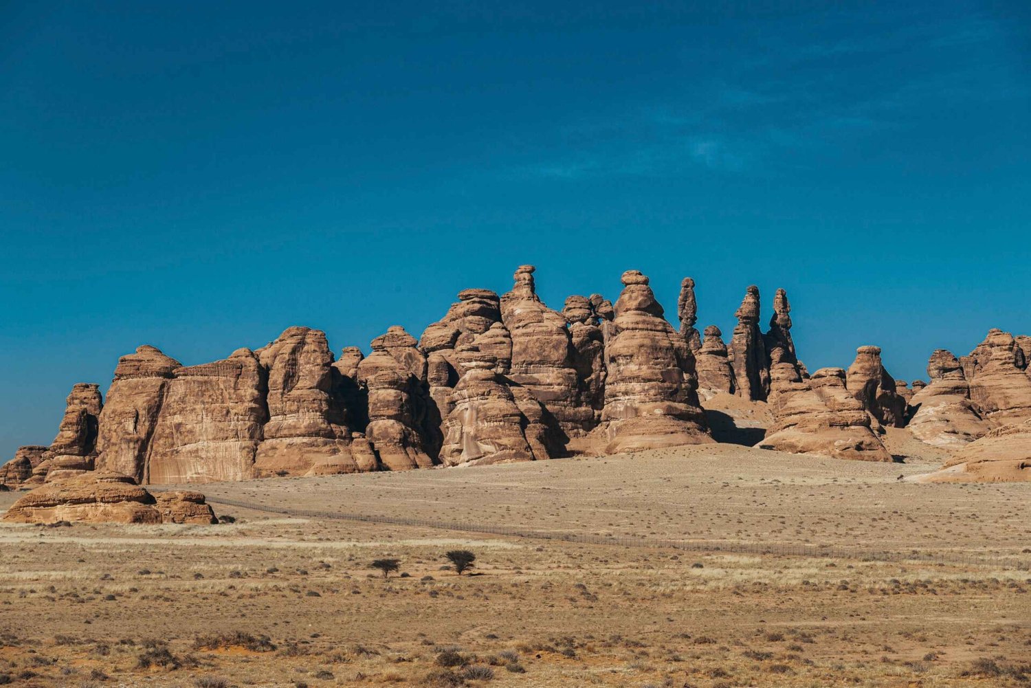 Byomvisning i Abu Dhabi med Warner Bros. World fra Abu Dhabi