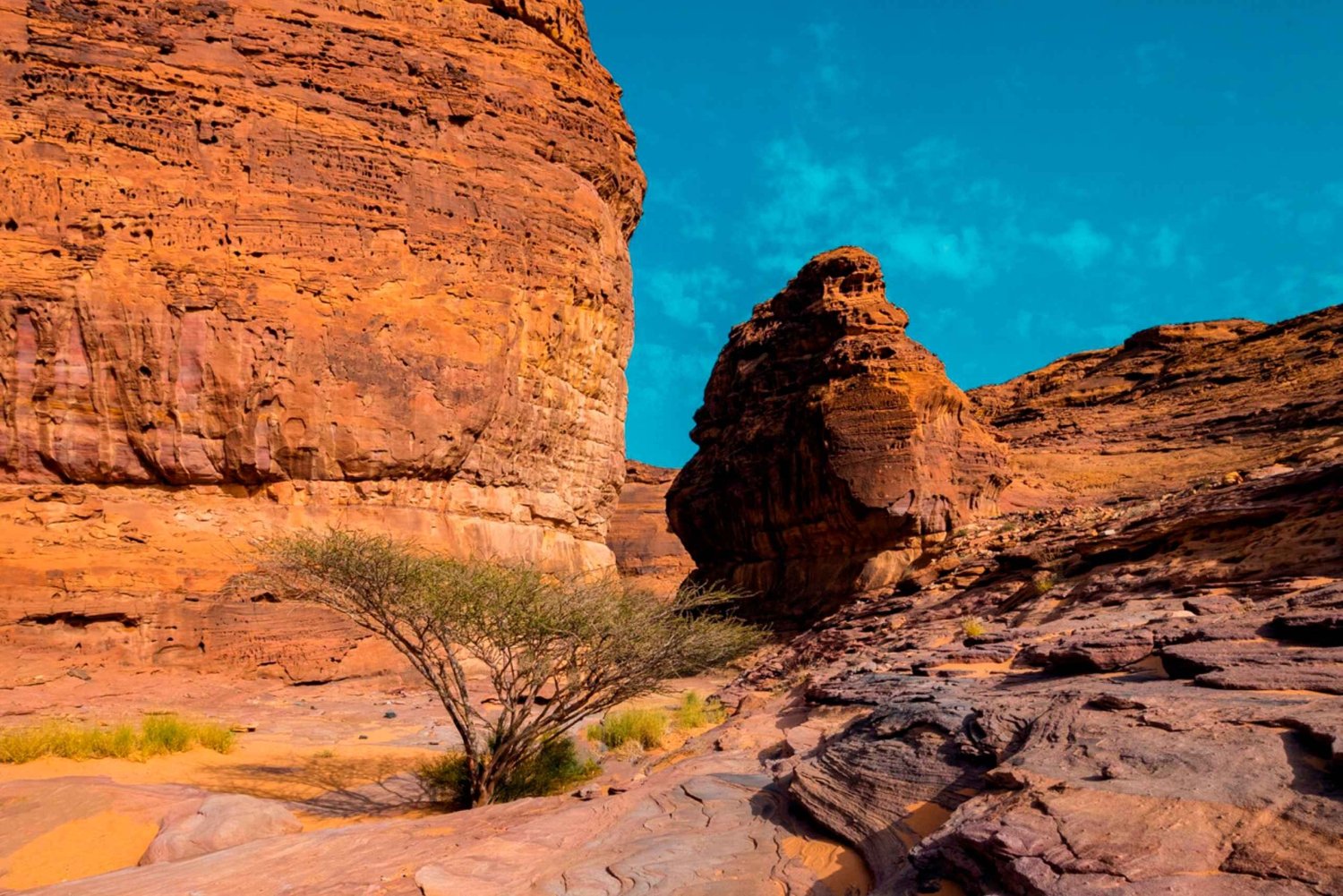 Byomvisning i Abu Dhabi med Warner Bros. World fra Abu Dhabi