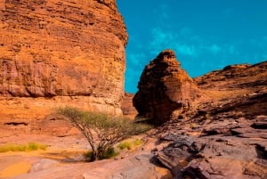 Byomvisning i Abu Dhabi med Warner Bros. World fra Abu Dhabi