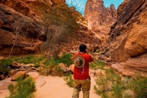 Byomvisning i Abu Dhabi med Warner Bros. World fra Abu Dhabi