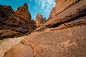 Byomvisning i Abu Dhabi med Warner Bros. World fra Abu Dhabi