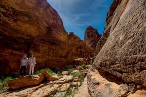 Byomvisning i Abu Dhabi med Warner Bros. World fra Abu Dhabi