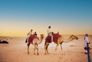 Abu Dhabi: Desert Safari with BBQ, Belly & Tannura Dance