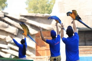 Abu Dhabi: Emirates Park Zoo toegangsbewijs