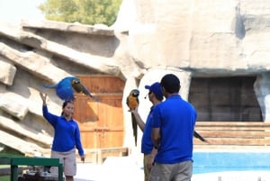 Abu Dhabi: Emirates Park Zoo inträdesbiljett