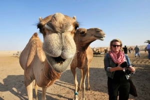 Abu Dhabi Safari no deserto à noite e jantar sob as estrelas