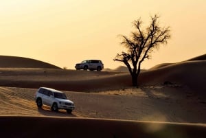 Abu Dhabi Safari no deserto à noite e jantar sob as estrelas