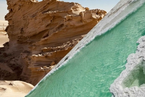 Abu Dhabi: Fossile Dünen, Salzsee und Kamelrennbahn Tour