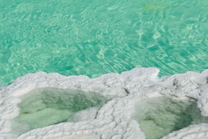 Abu Dhabi: Tour delle dune fossili, del lago salato e della pista dei cammelli