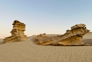 Abu Dhabi: Fossile klitter, saltsø og tur på kamelbanen