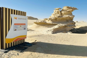 Abu Dhabi: Tour delle dune fossili, del lago salato e della pista dei cammelli