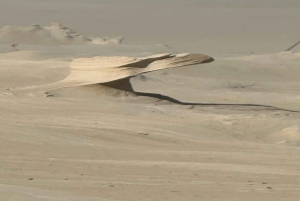 Abu Dhabi: Tour delle dune fossili, del lago salato e della pista dei cammelli