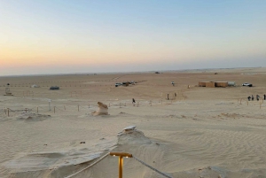 Abu Dhabi: Tour delle dune fossili, del lago salato e della pista dei cammelli