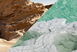 Abu Dhabi: Dunas Fósseis, Lago Salgado e Pista de Corrida de Camelos