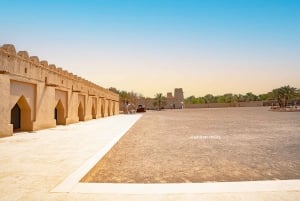 Abu Dhabi: Hele dag Al Ain Tour met entreekaarten en maaltijd