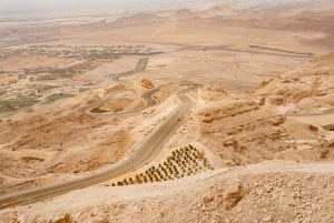 Abu Dhabi: Hele dag Al Ain Tour met entreekaarten en maaltijd