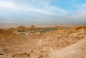 Abu Dhabi: Hele dag Al Ain Tour met entreekaarten en maaltijd