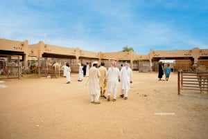 Abu Dhabi: Hele dag Al Ain Tour met entreekaarten en maaltijd