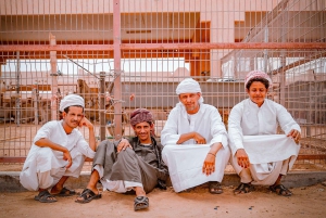 Abu Dhabi : Visite d'Al Ain d'une journée avec billets d'entrée et repas
