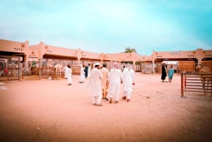 Abu Dhabi : Visite d'Al Ain d'une journée avec billets d'entrée et repas