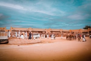 Abu Dhabi : Visite d'Al Ain d'une journée avec billets d'entrée et repas