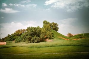 Abu Dhabi : Visite d'Al Ain d'une journée avec billets d'entrée et repas