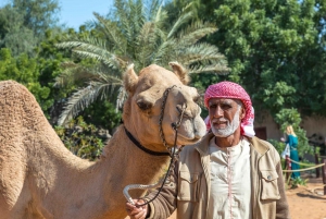 Z Dubaju: Zwiedzanie miasta Abu Zabi i Meczet Szejka Zayeda