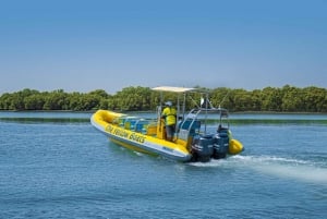 Abu Dhabi: Guided Speedboat Sightseeing Tour