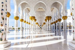 Abu Dhabi: Highlights Guided Tour