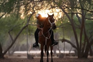 Abu Dhabi: Hudairiyat Island Horse Riding Experiences