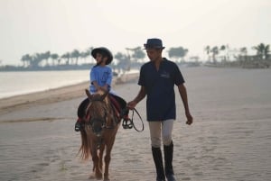 Abu Dhabi: Hudairiyat Island Horse Riding Experiences