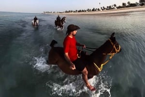 Abu Dhabi: Hudairiyat Island Horse Riding Experiences