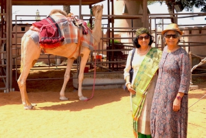 Abu Dhabi: Rundvandring i Heritage Village