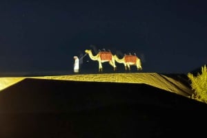Abu Dhabi: Magisk 4x4-ørkenudflugt med kameltur og sandboarding