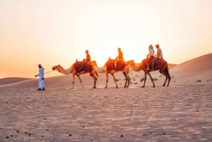 Abu Dhabi: Passeio matinal pelas dunas, passeio de camelo e sandboard