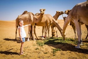 Abu Dhabi: Morning Desert Tour, Camel Ride ja Sandboarding