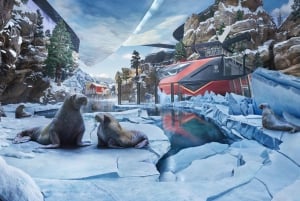 Rundresa till Abu Dhabis moské och Sea World från Dubai