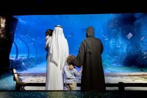 Abu Dhabi: toegangsticket voor het nationale aquarium