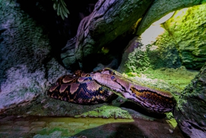 Abu Dhabi: toegangsticket voor het nationale aquarium