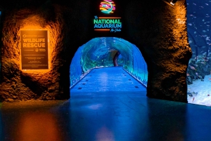 Abu Dhabi: National Aquarium Entrance Ticket