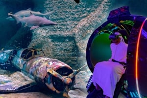 Abu Dhabi: National Aquarium & Pixoul VR Gaming Kombiticket