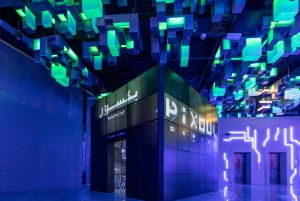 Abu Dhabi: Nationaal Aquarium & Pixoul VR Gaming combiticket