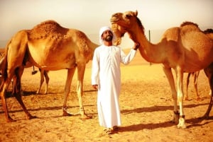 Da Abu Dhabi: safari con pernottamento nel deserto